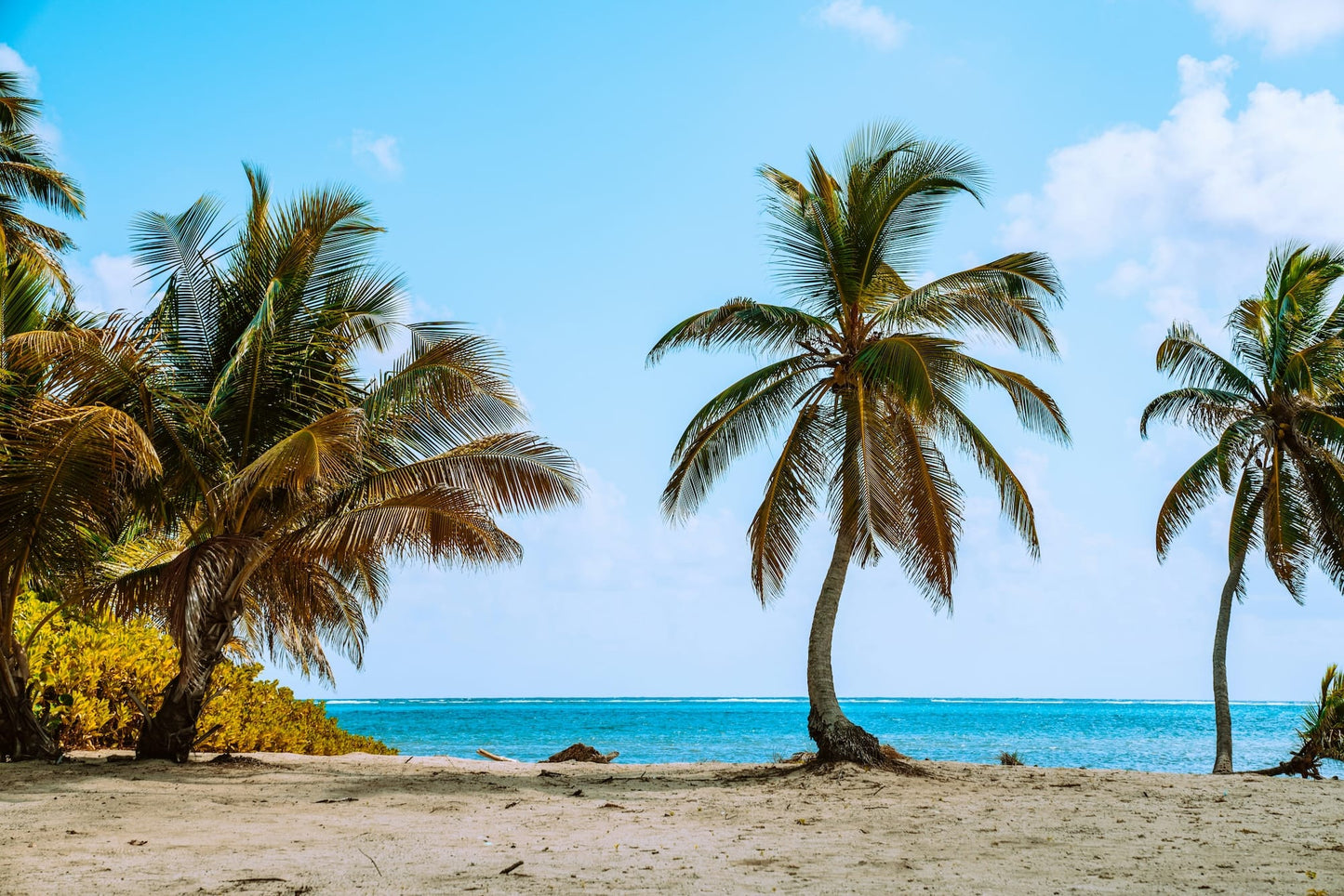 Belize Company / Trust Formation